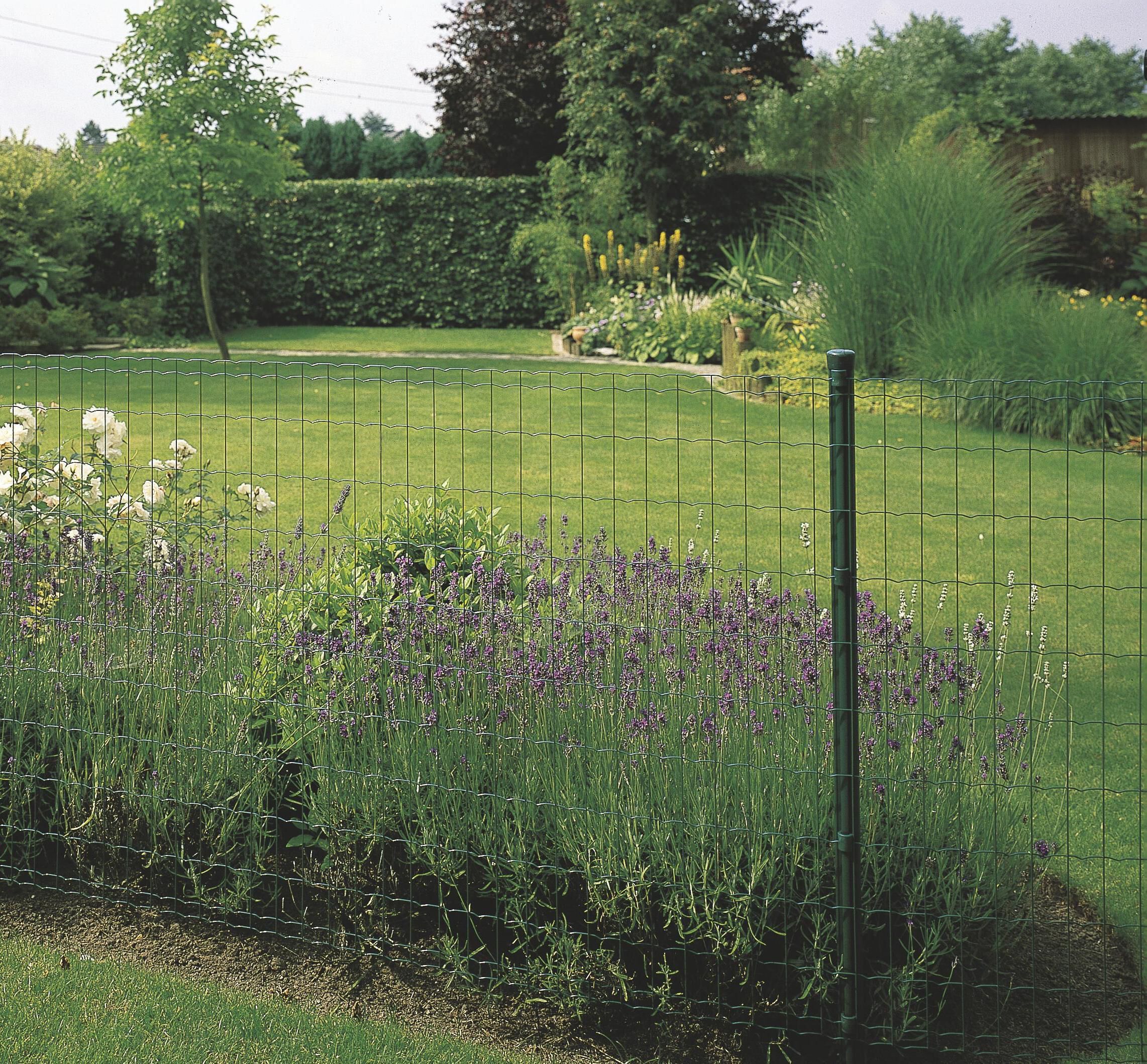 Betafence - Pantanet Family - Gelast tuingaas - Groen - 61 cm - 62x36x36 cm - 250 cm