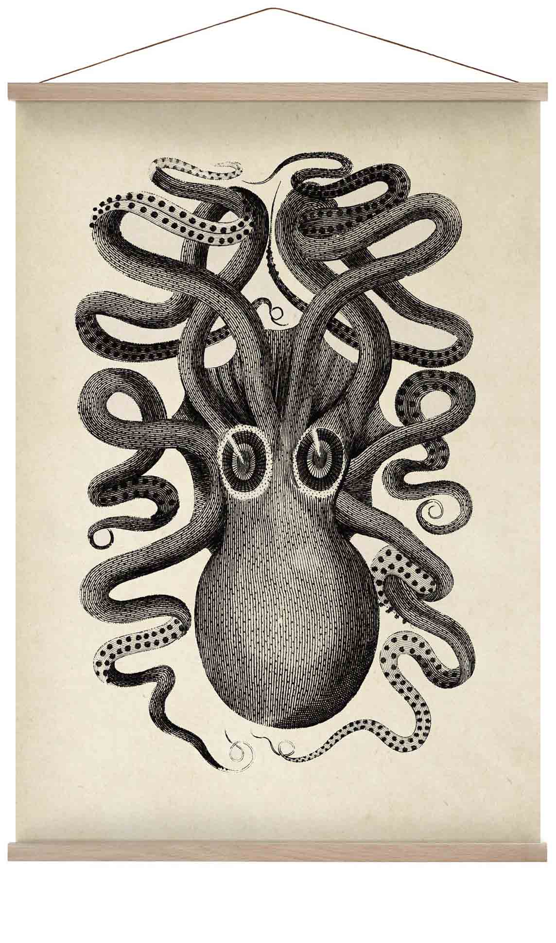 Antiker Oktopus II