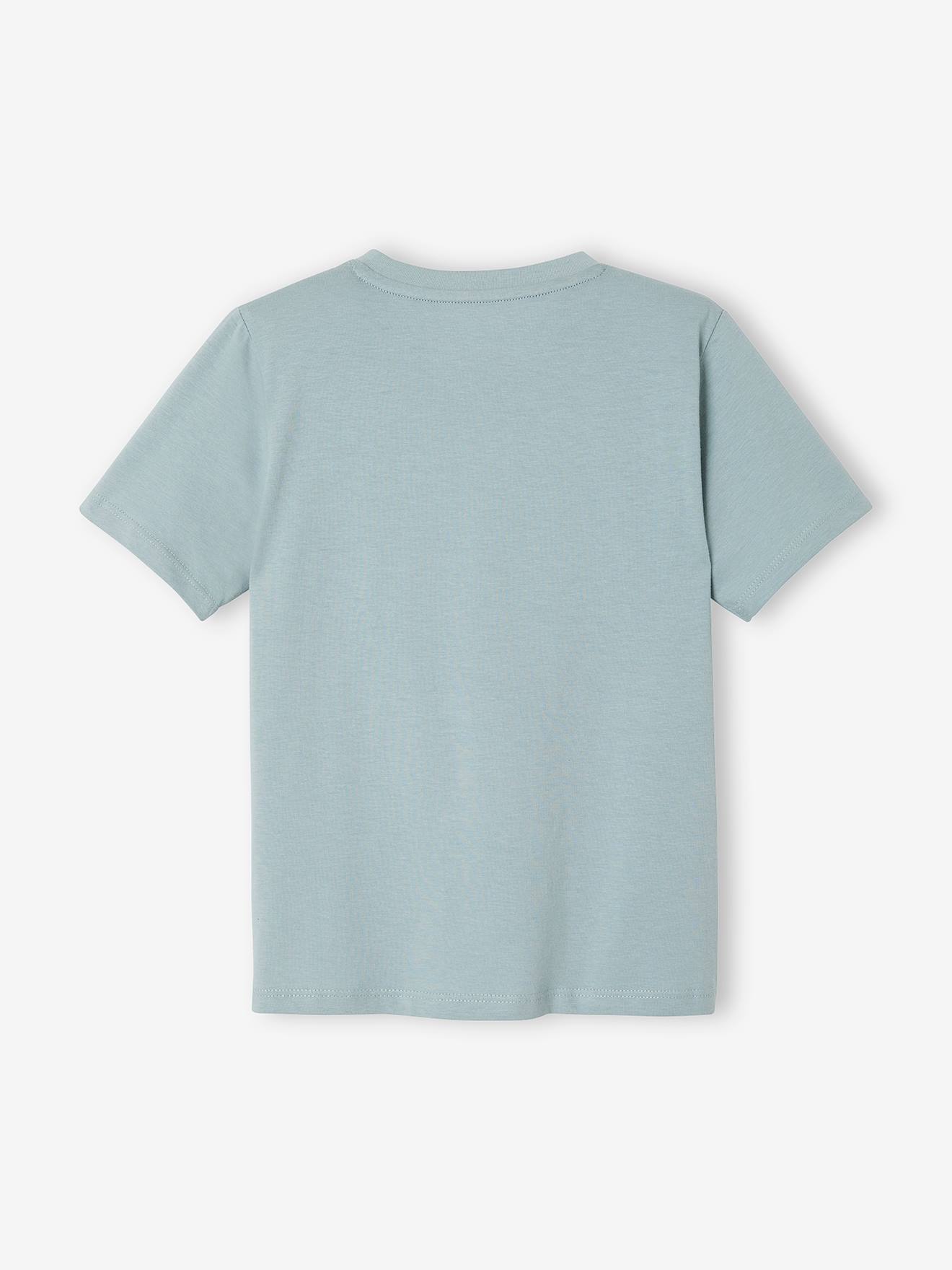 Camiseta de manga curta com mensagem para meninos, lisa, azul claro com estampas.