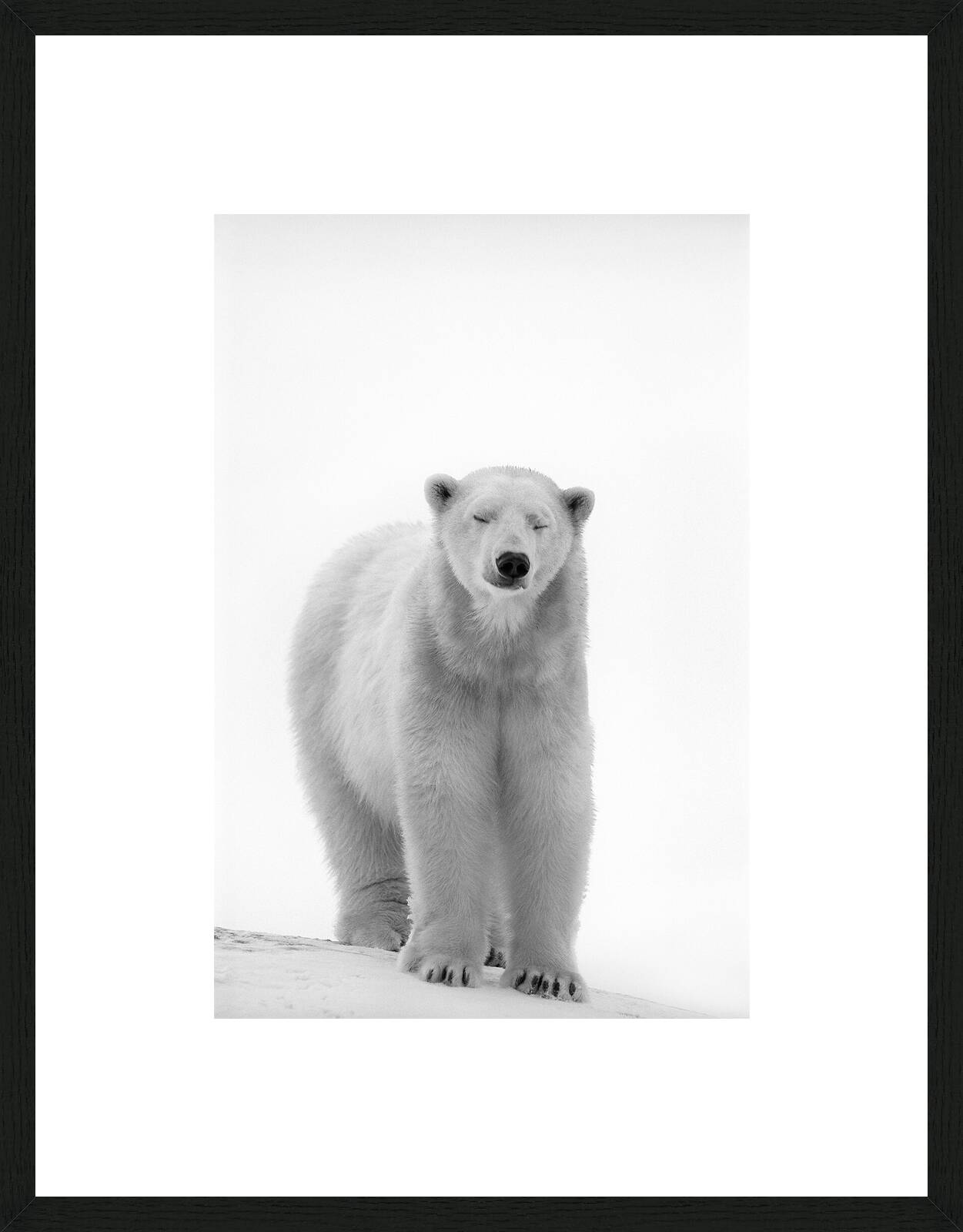 The Dreamer by Heidi & Hans - Jürgen Koch - Limited Edition. Edition of: 150. Signed.