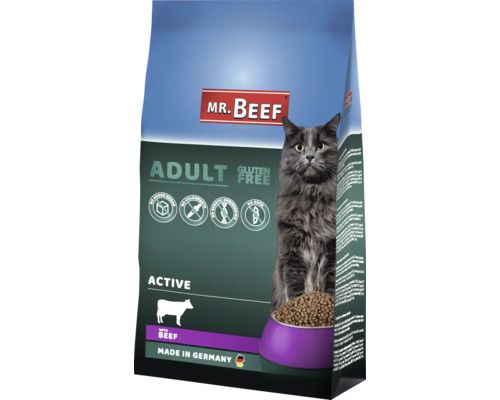 MR.BEEF Activ droogvoer voor katten, 3 kg, rundvlees, non-GMO, zonder toegevoegde suikers, zonder kunstmatige kleurstoffen, zonder soja. Gemaakt in Duitsland.