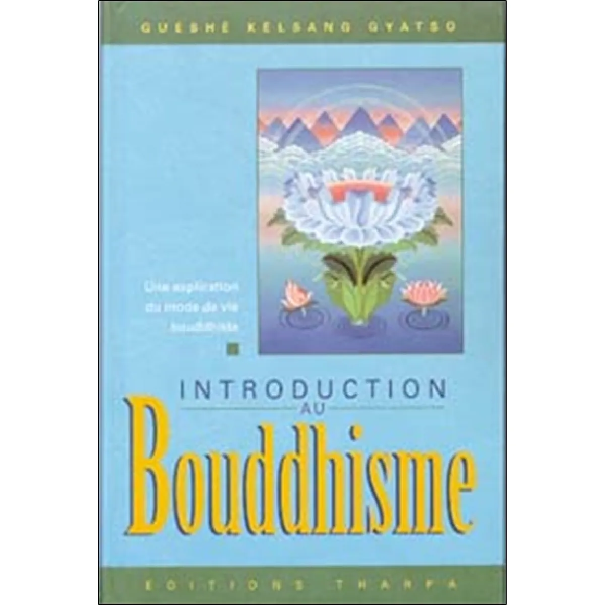 Introduction au bouddhisme : une explication du mode de vie bouddhiste · Occasion