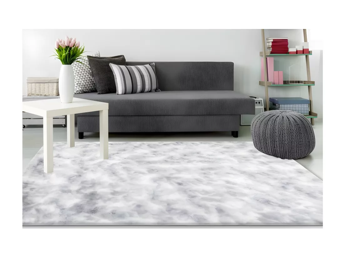 Tapis 170x120cm, design B005O coloris gris - Confort et élégance pour votre intérieur