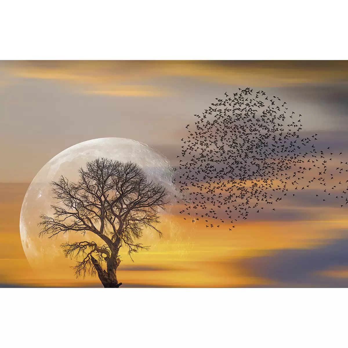 Keilrahmenbild Vogelschwarm KE 116x76 Vogelschwarm orange,rot