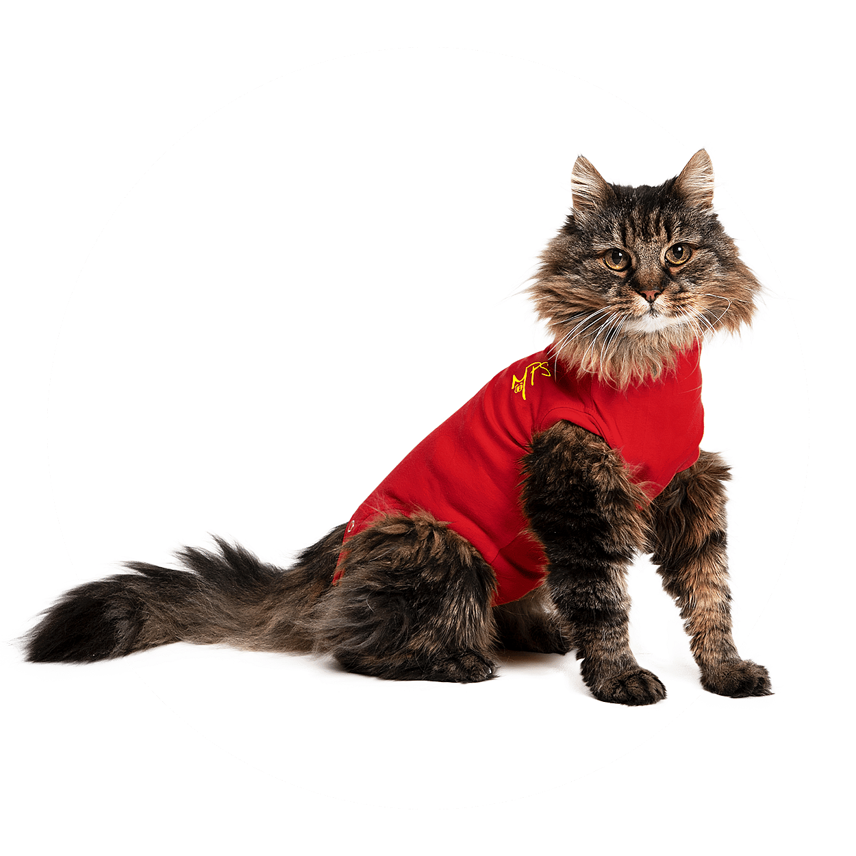 Medical Pet Shirt Kat XXXXS