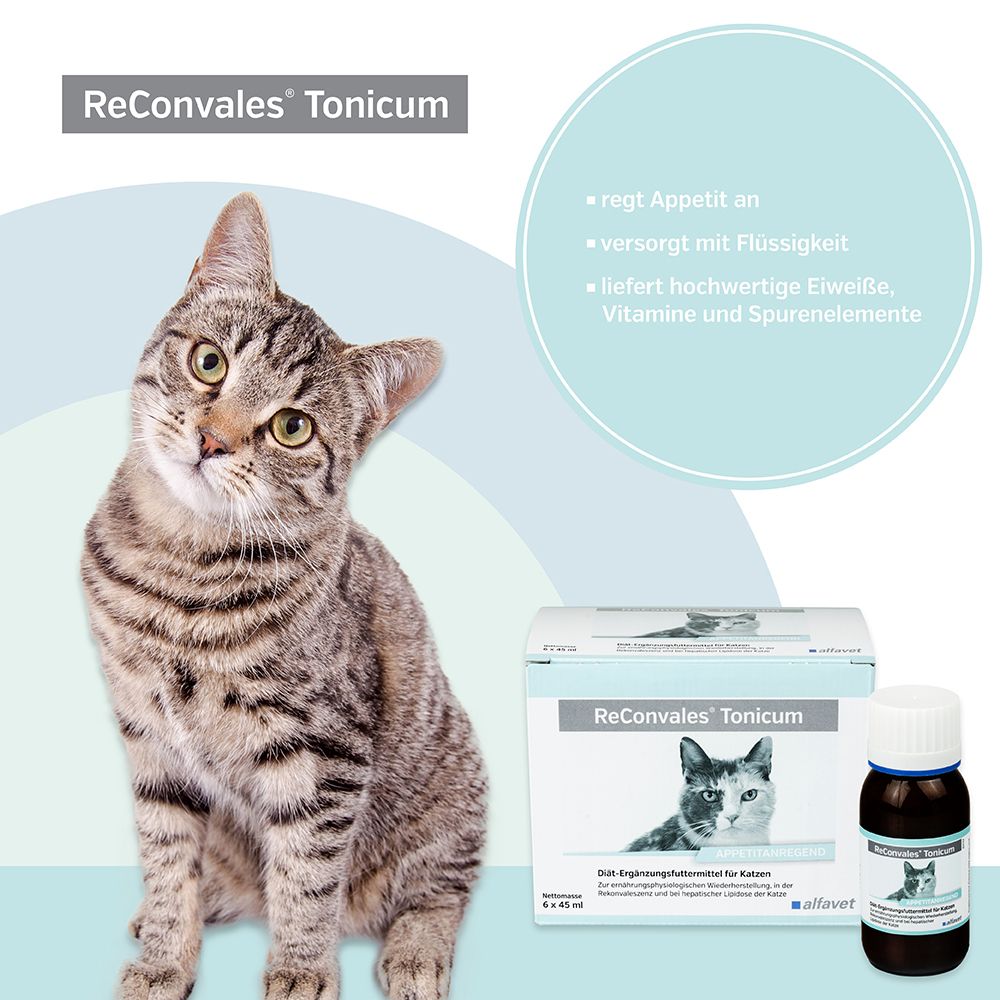 ReConvales® Tonicum für Katzen