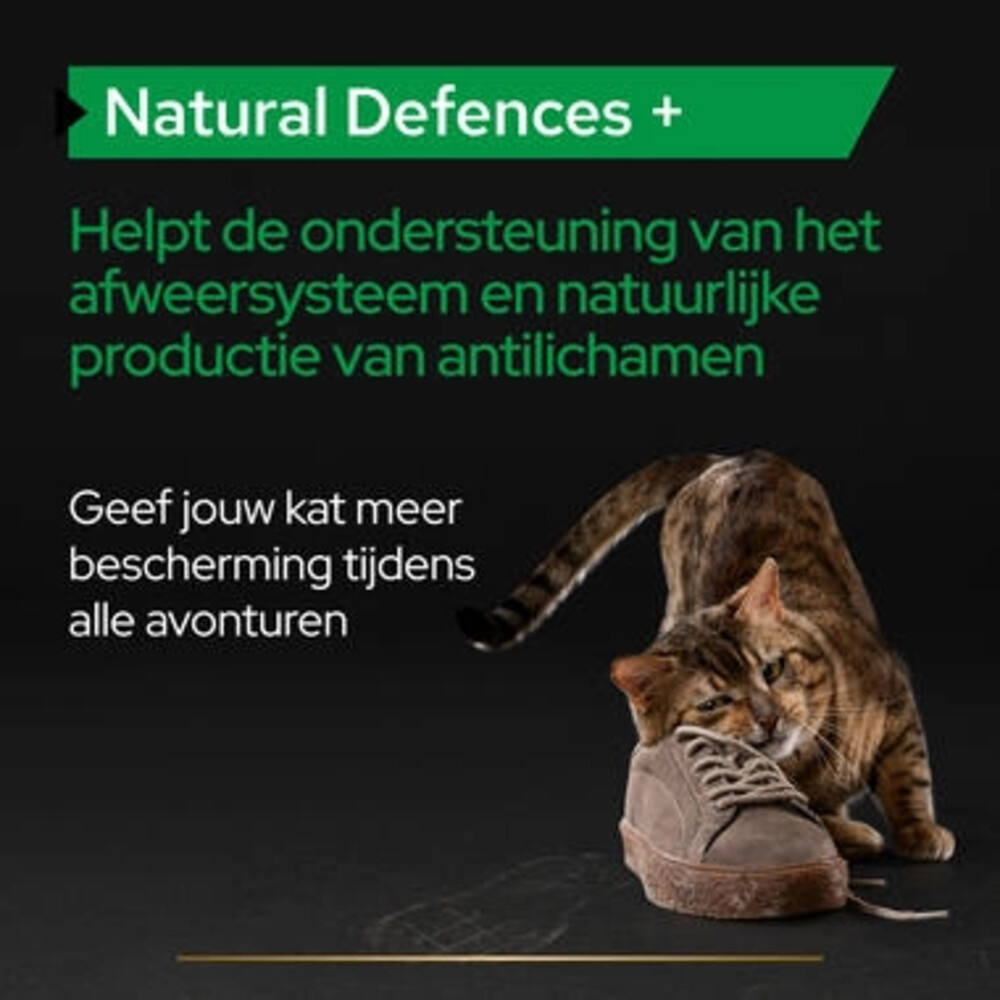 Pro Plan Supplement Poeder voor Katten Natural Defence60 gr