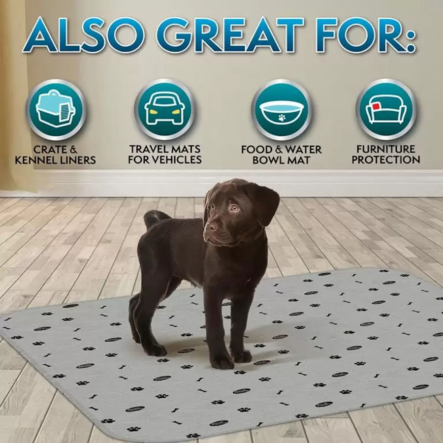 Tapetes laváveis para cães Simple Solution – Pacote com 2