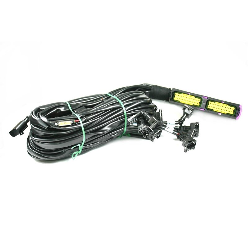 Landi Renzo Omegas 5/6/8 Zylinder Kabelbaum für ECU 616283001 (Stecker MED GI25)