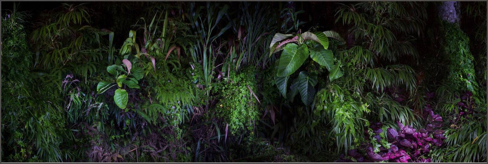 Eden III. by Katalin Vasali - Limited Edition. Edition of: 150. Signed.