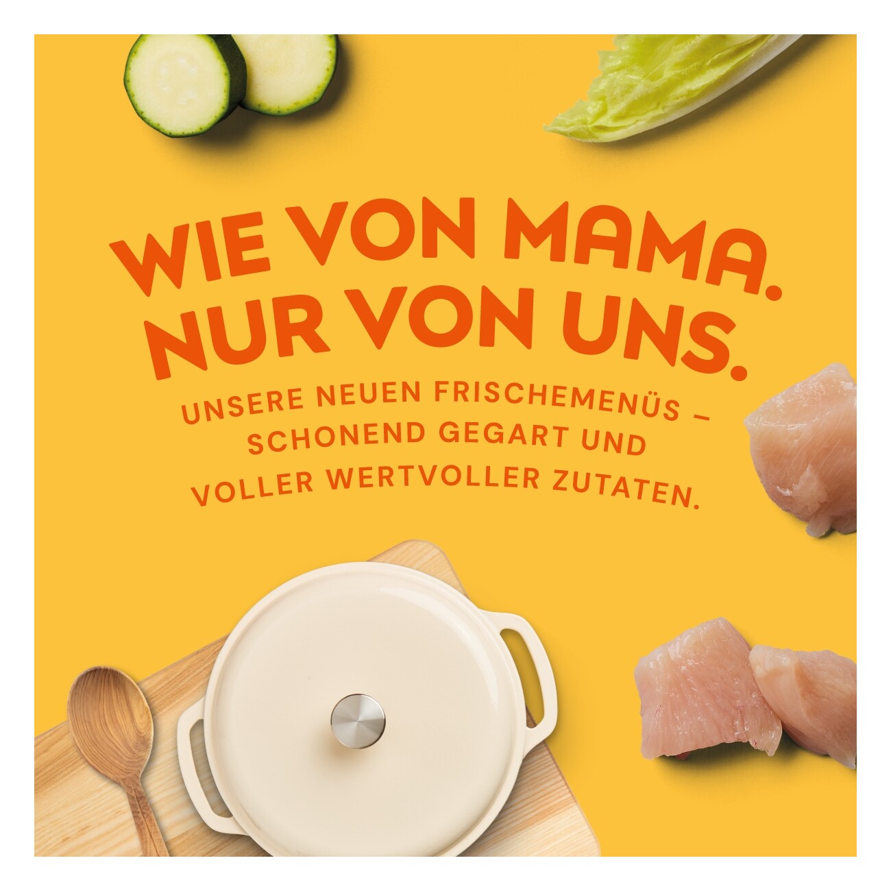 Nutriment Medaillons Huhn, Chicorée & Zucchini 8x800 g