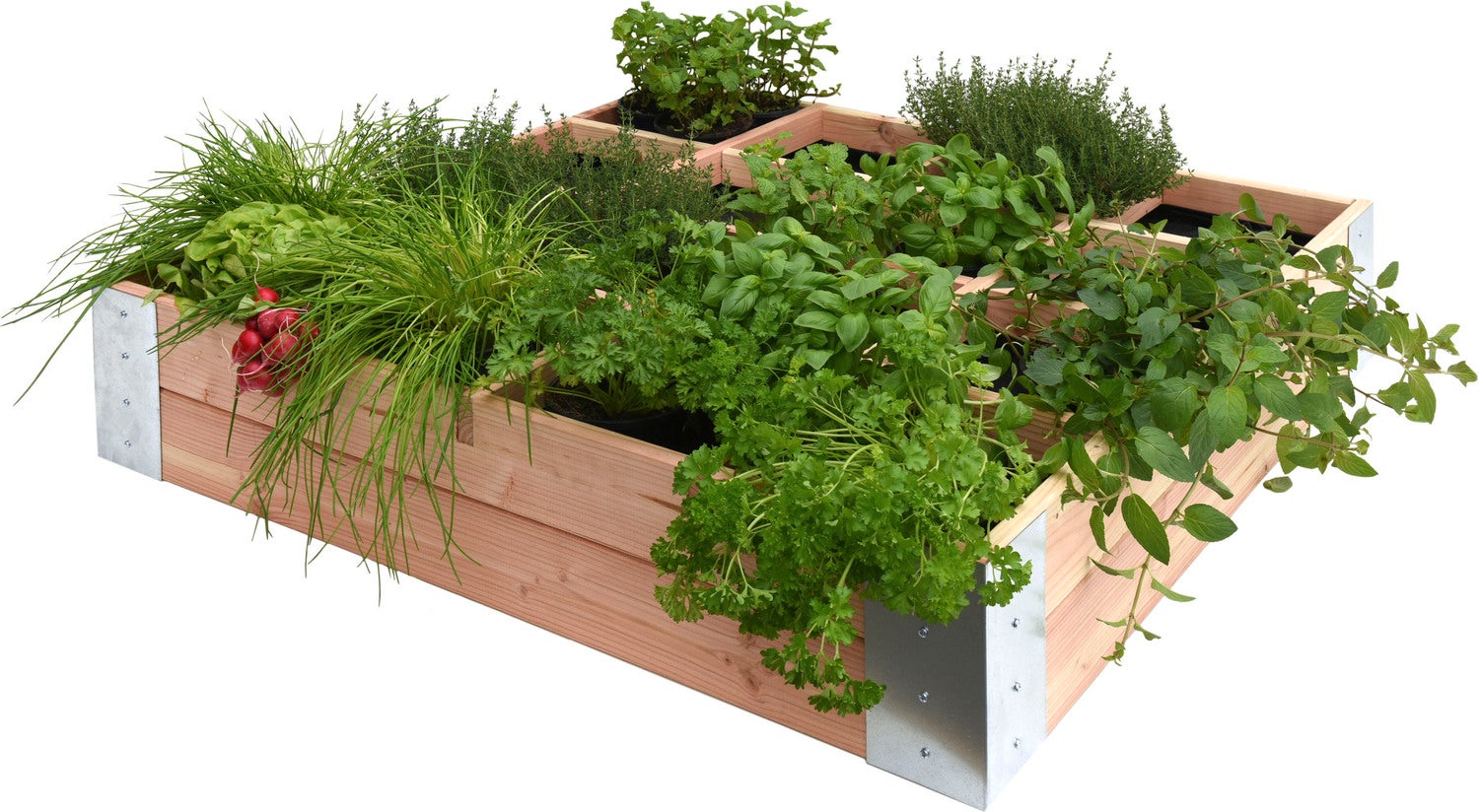 Woodvision minigarden douglas 100 x 100 x 20 cm
