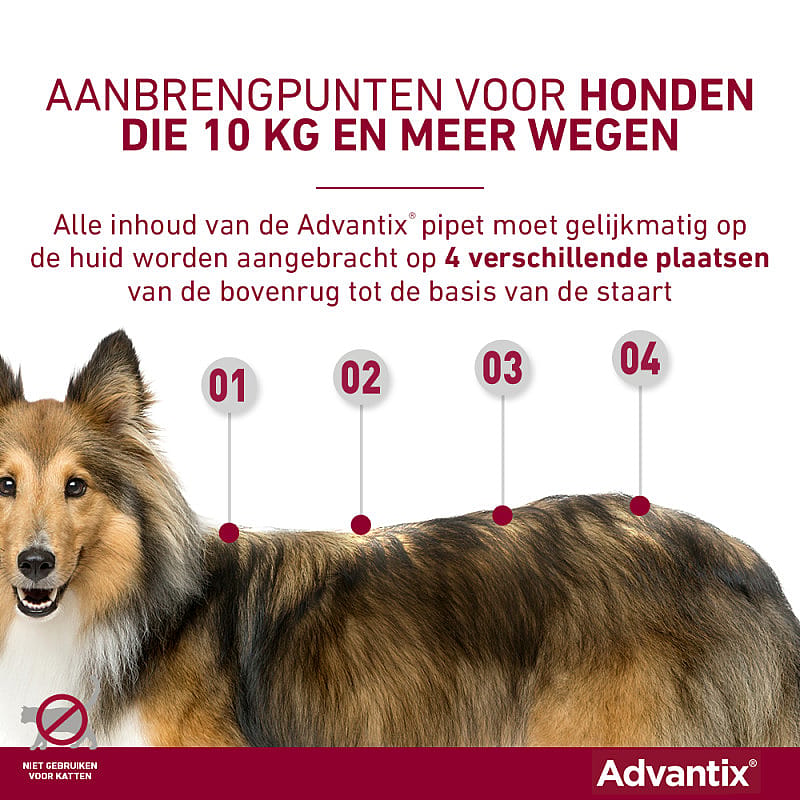 Advantix vlooienmiddel hond