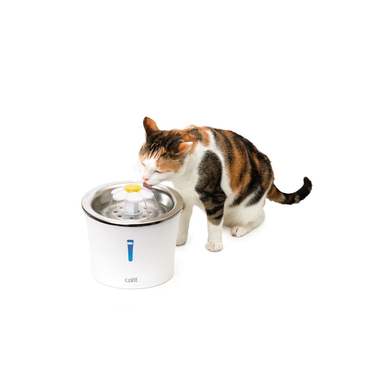 Catit Trinkbrunnen Blume mit Edelstahl