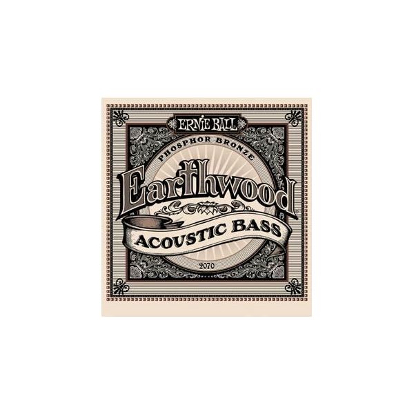 Ernie Ball 2070 Earthwood