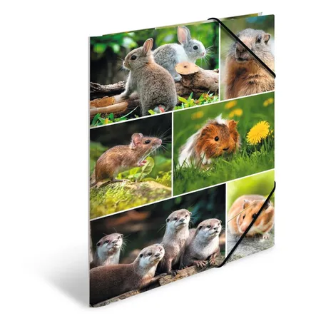 HERMA Sammelmappen A4 Karton Nagetiere