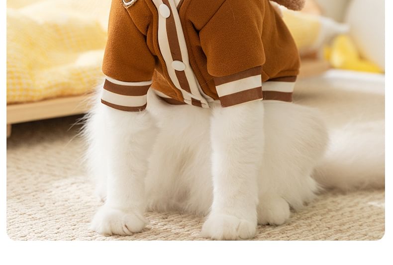 2 nachten - Bear Pet Top
