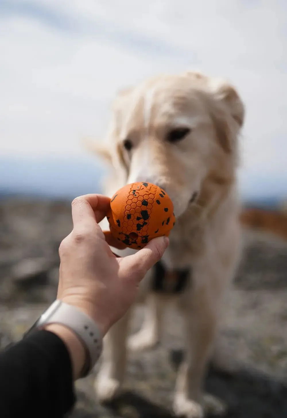 Non-stop Dogwear Dog Ball 60x60 Orange/black