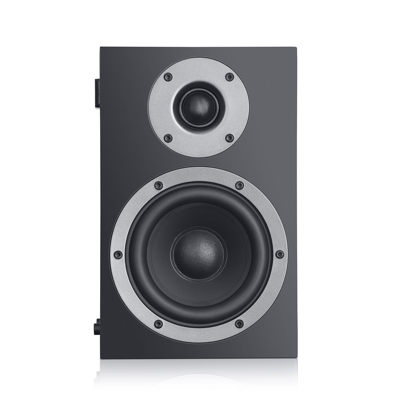 Theater 500 Surround Dipole