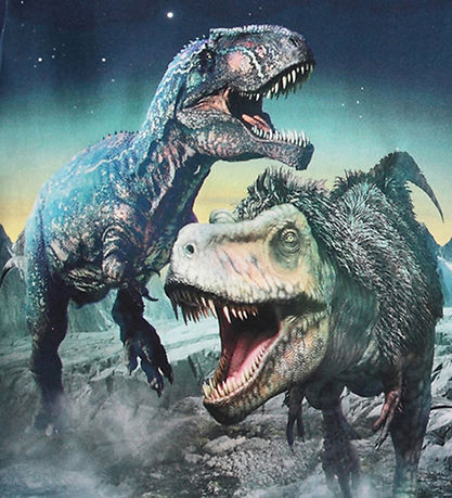 Molo Bluse - Rube - Spielend Dinos