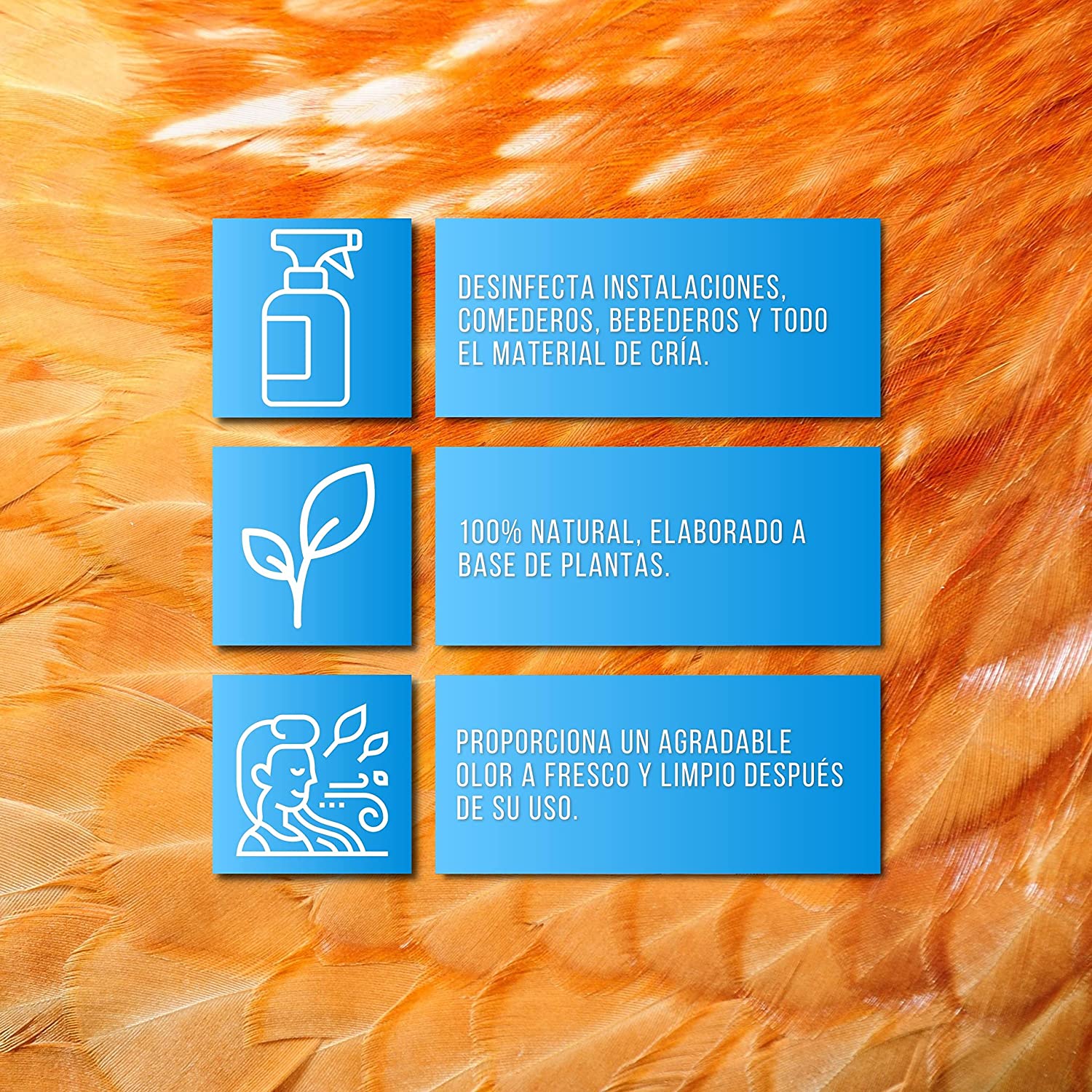 Finca Casarejo Soluclean, um spray natural desinfetante para instalações de animais, é utilizado para desinfetar instalações para animais.