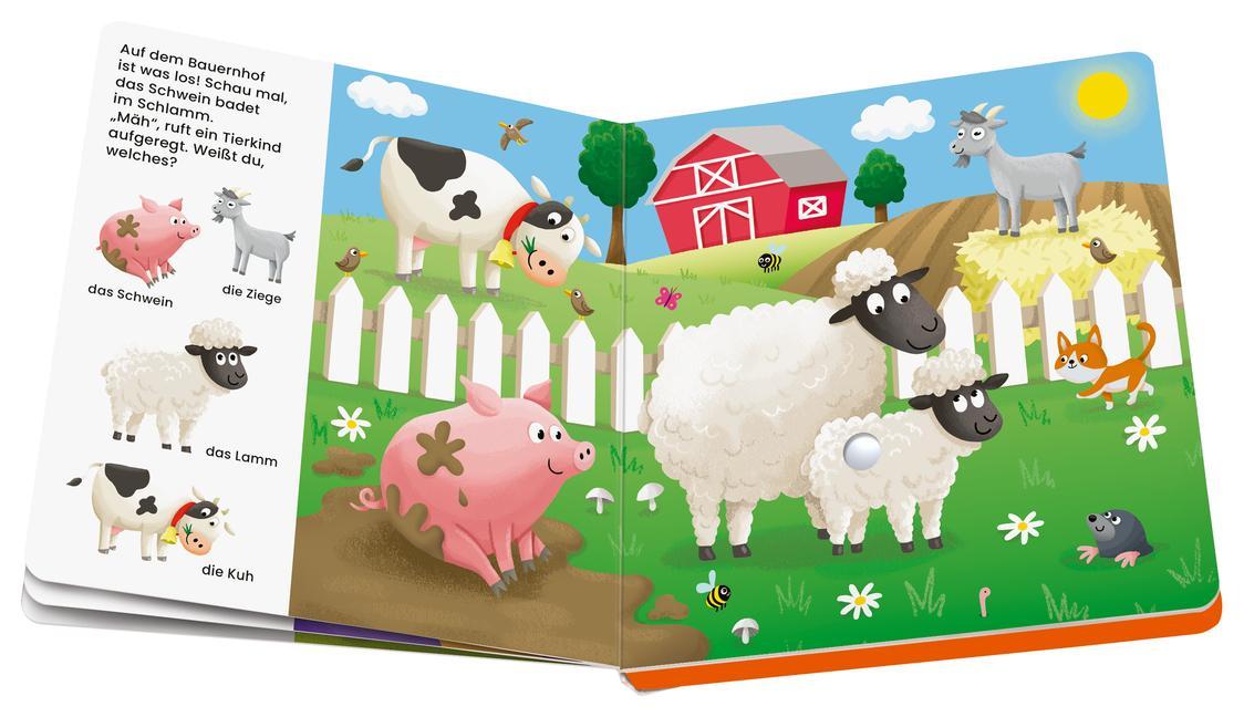 Ravensburger, play+ Mein allererstes Soundbuch: Tierkinder (Sachen suchen und hören)