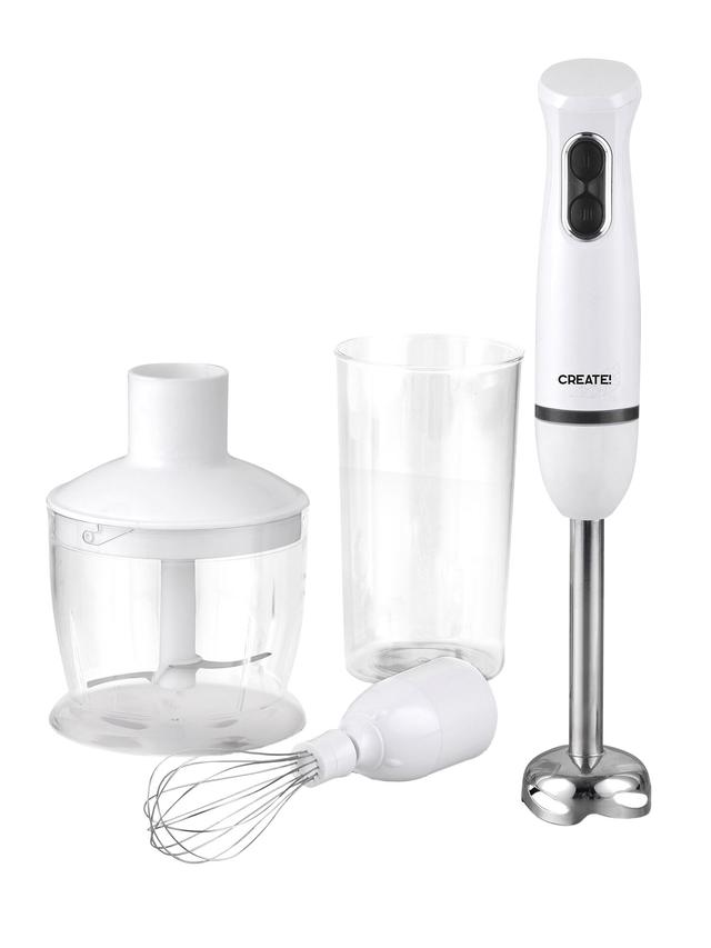 3:1 Stabmixer-Set
