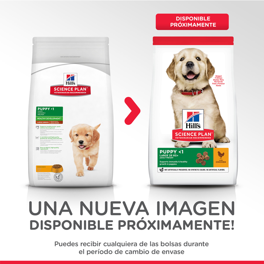 Ração Hill's Science Plan para Filhotes de Porte Grande com Sabor de Frango