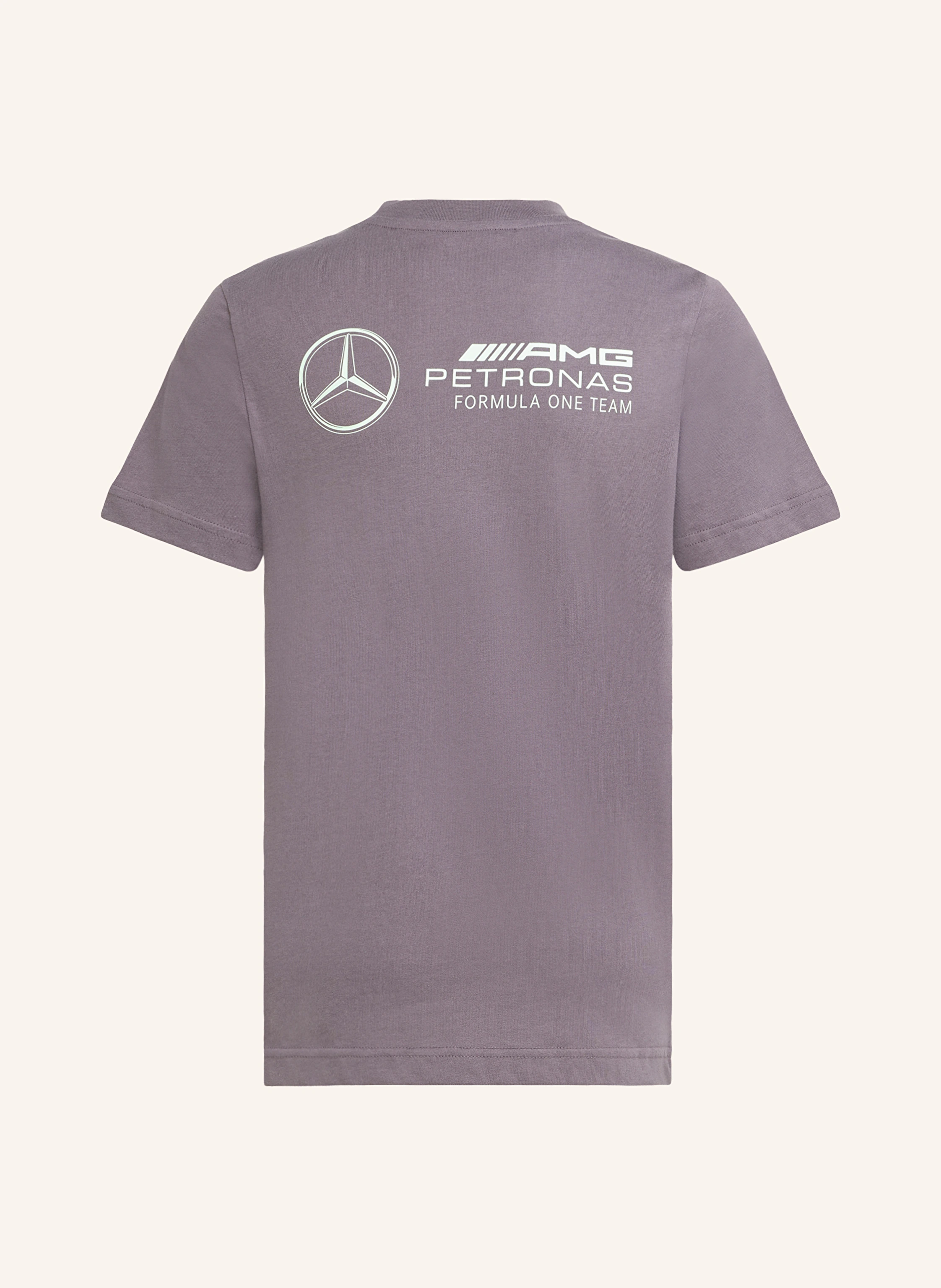 adidas T-Shirt MERCEDES - AMG PETRONAS FORMULA ONE TEAM PREMIUM