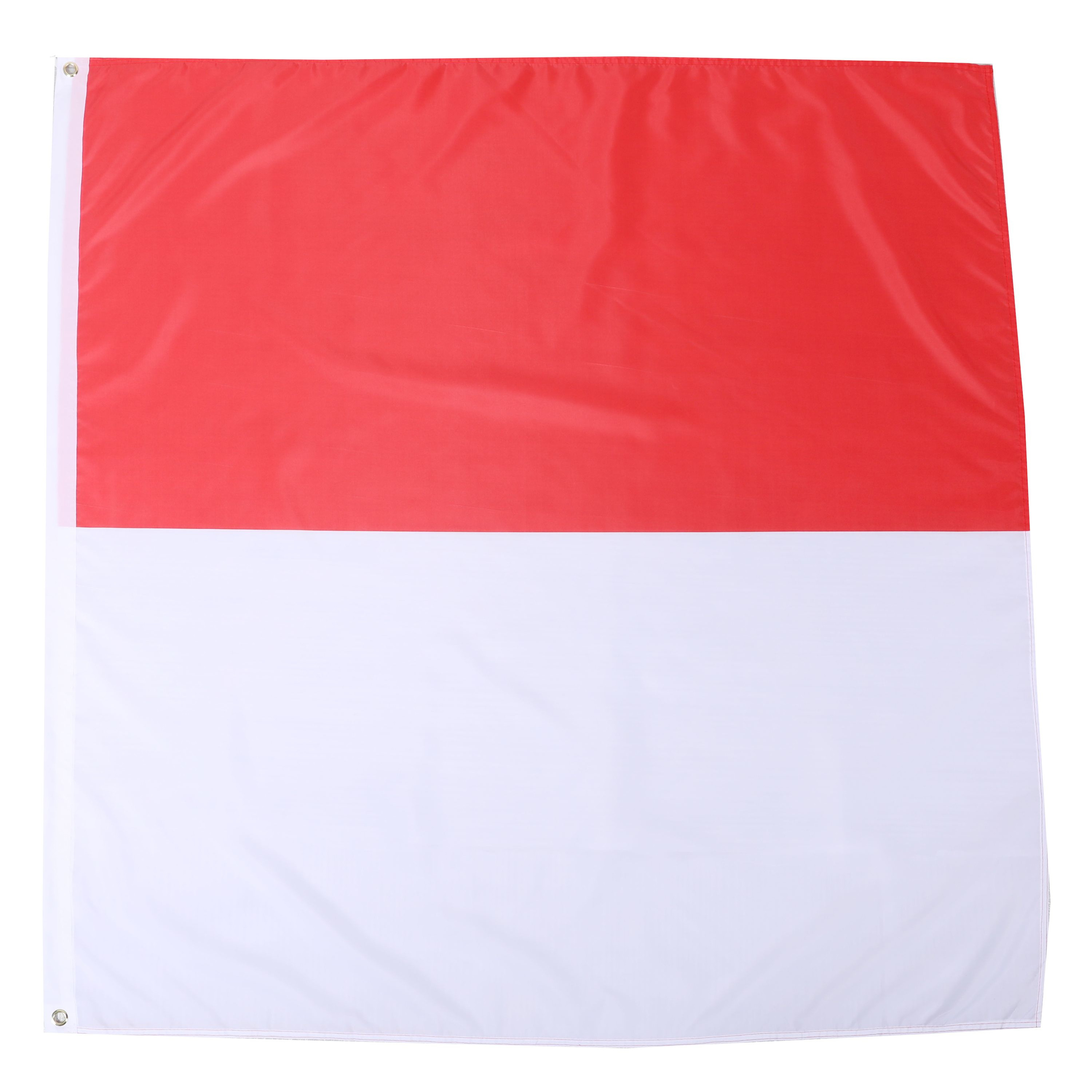 Kantonsflagge Solothurn 120 x 120 cm