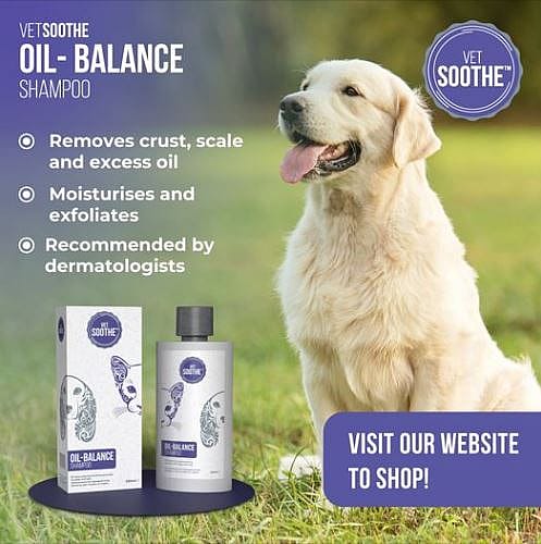 VetSoothe Oil Balance Shampoo Hond Kat | 11757