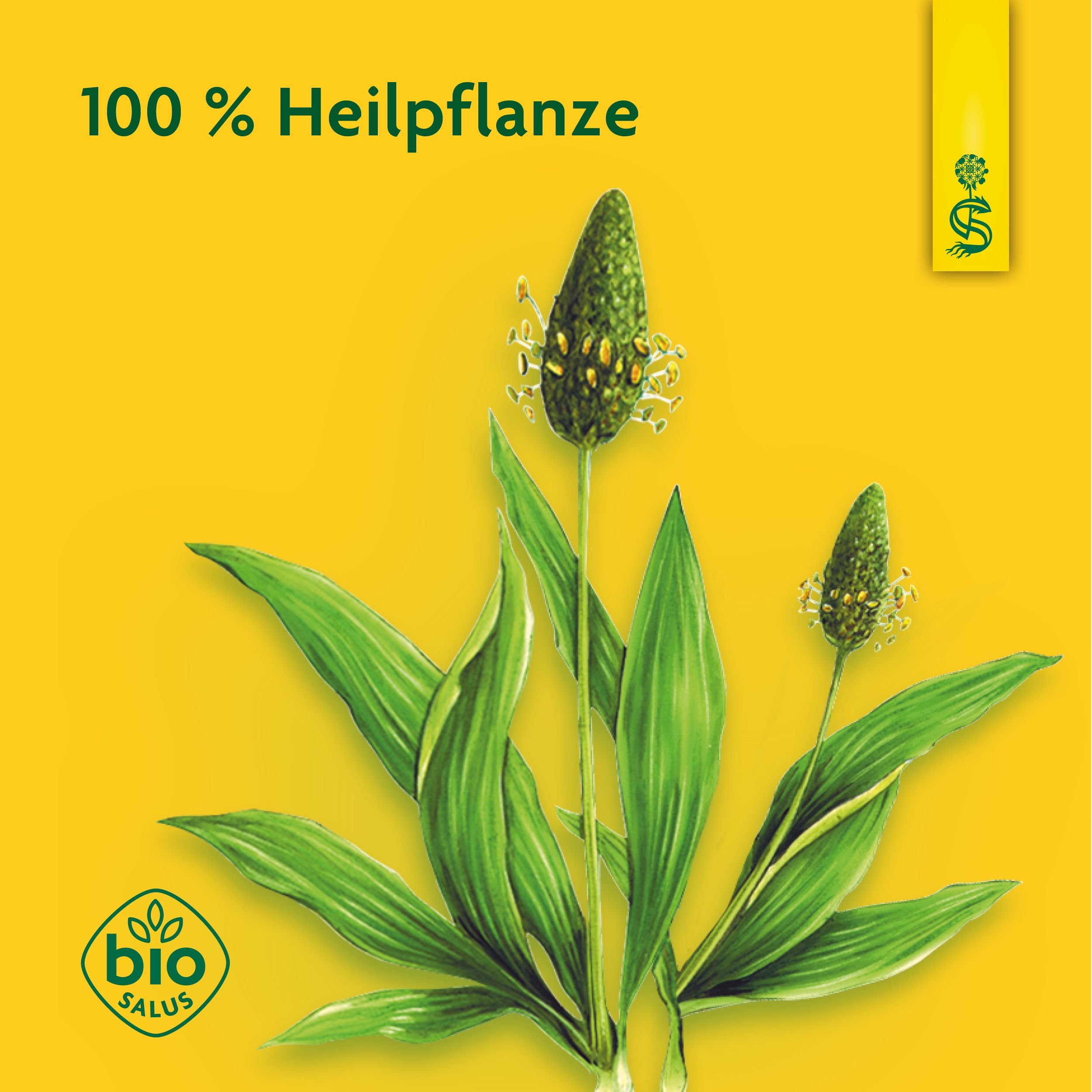 Schoenenberger® Heilpflanzensaft Spitzwegerich