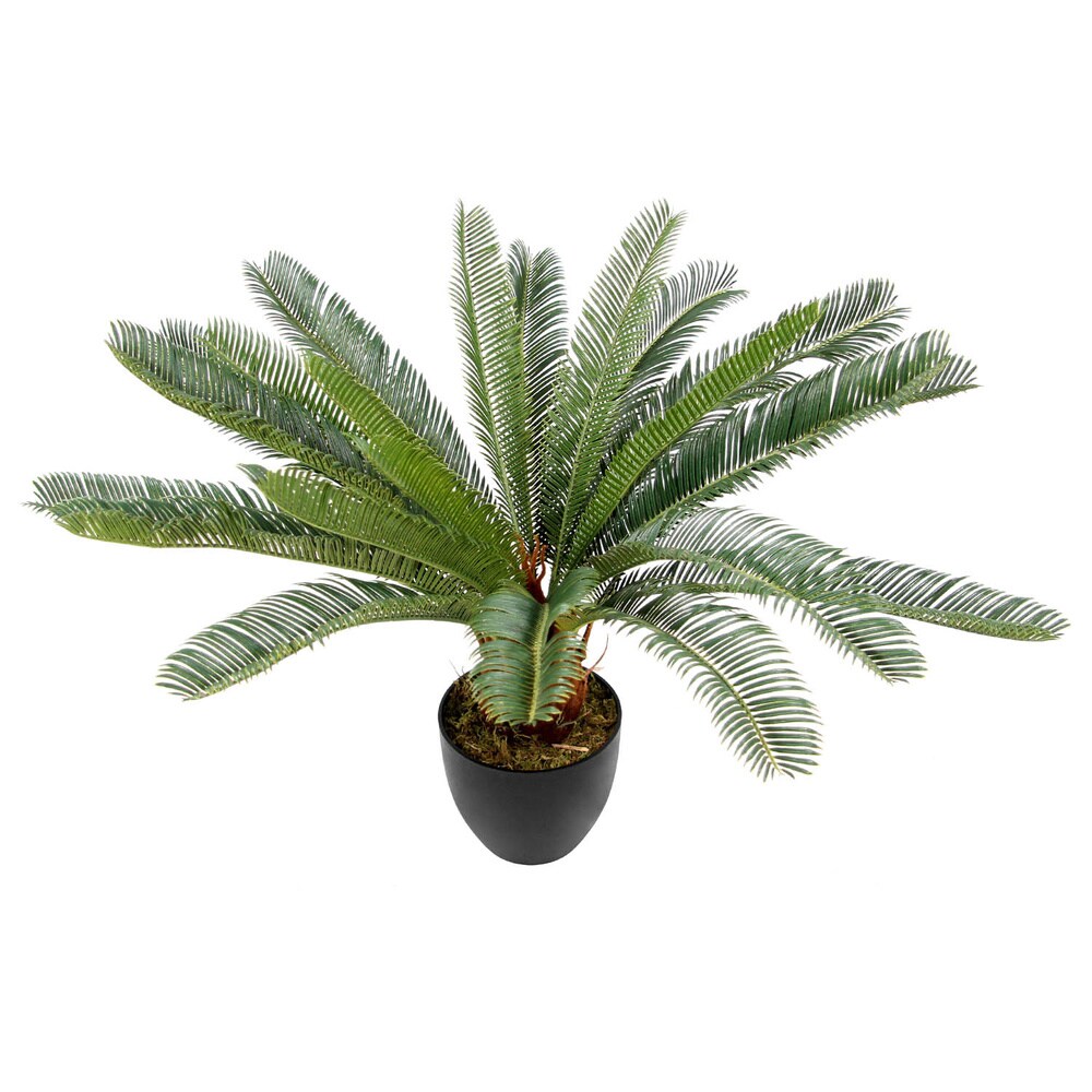 Kunstpflanze CYCAS Kunststoff, Stoff hjh OFFICE