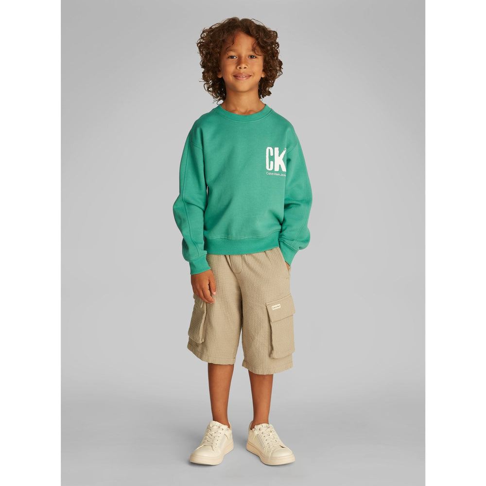 Køb Calvin Klein Bahama Green Summer Backprint Cn Hættetrøje