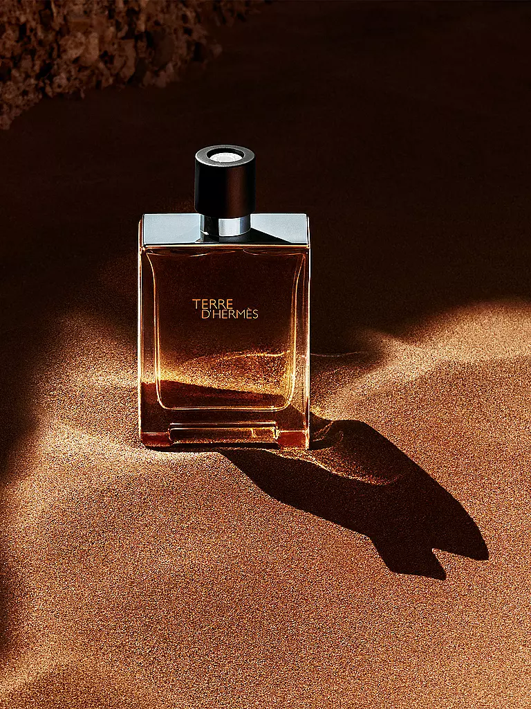 HERMÈS Terre d'Hermès Eau de Toilette 100ml keine Farbe