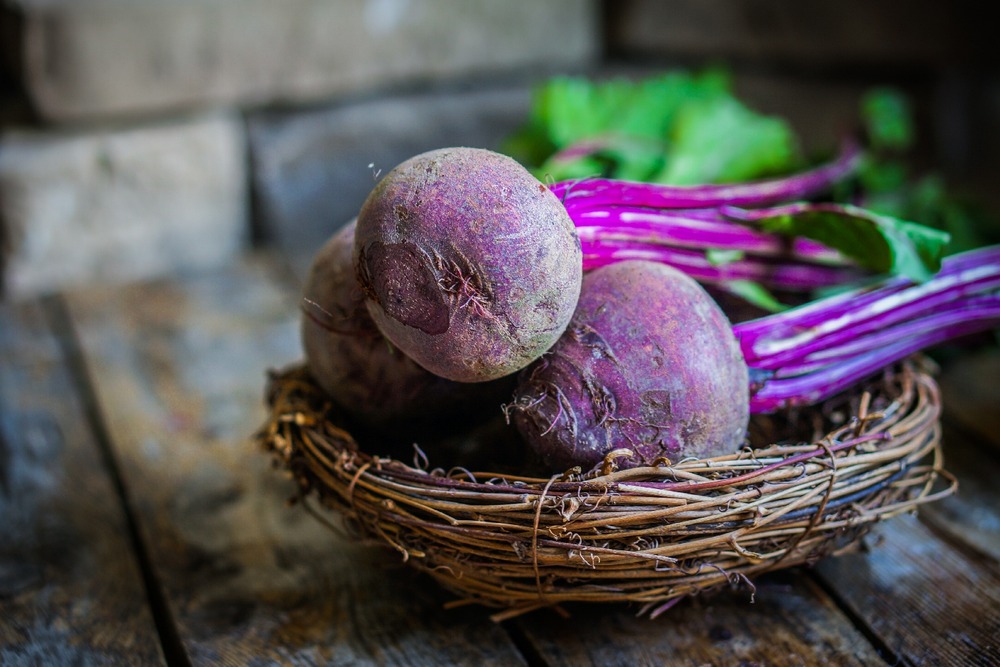 Jardin dans le sac - bio - betterave - de chioggia - 70 graines - beta vulgaris