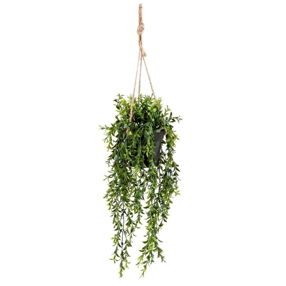 Boxwood kunst hangplant - groen - 50 cm