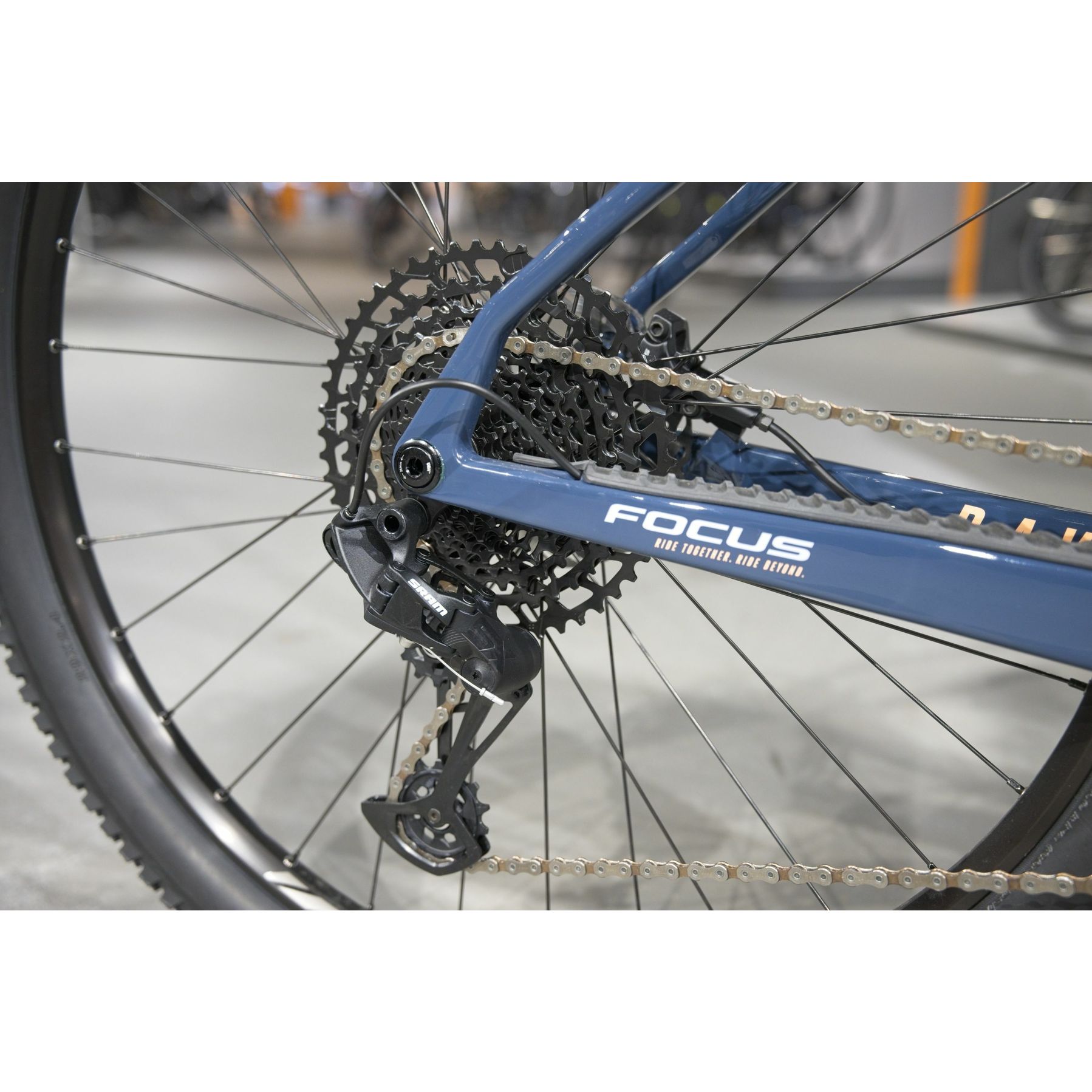 Focus Raven 8.7 2025