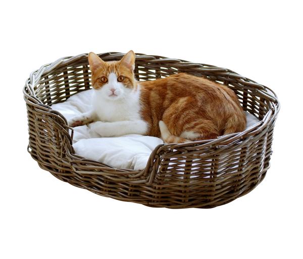 Silvio Desgin Heimtierbett Strolchi, oval