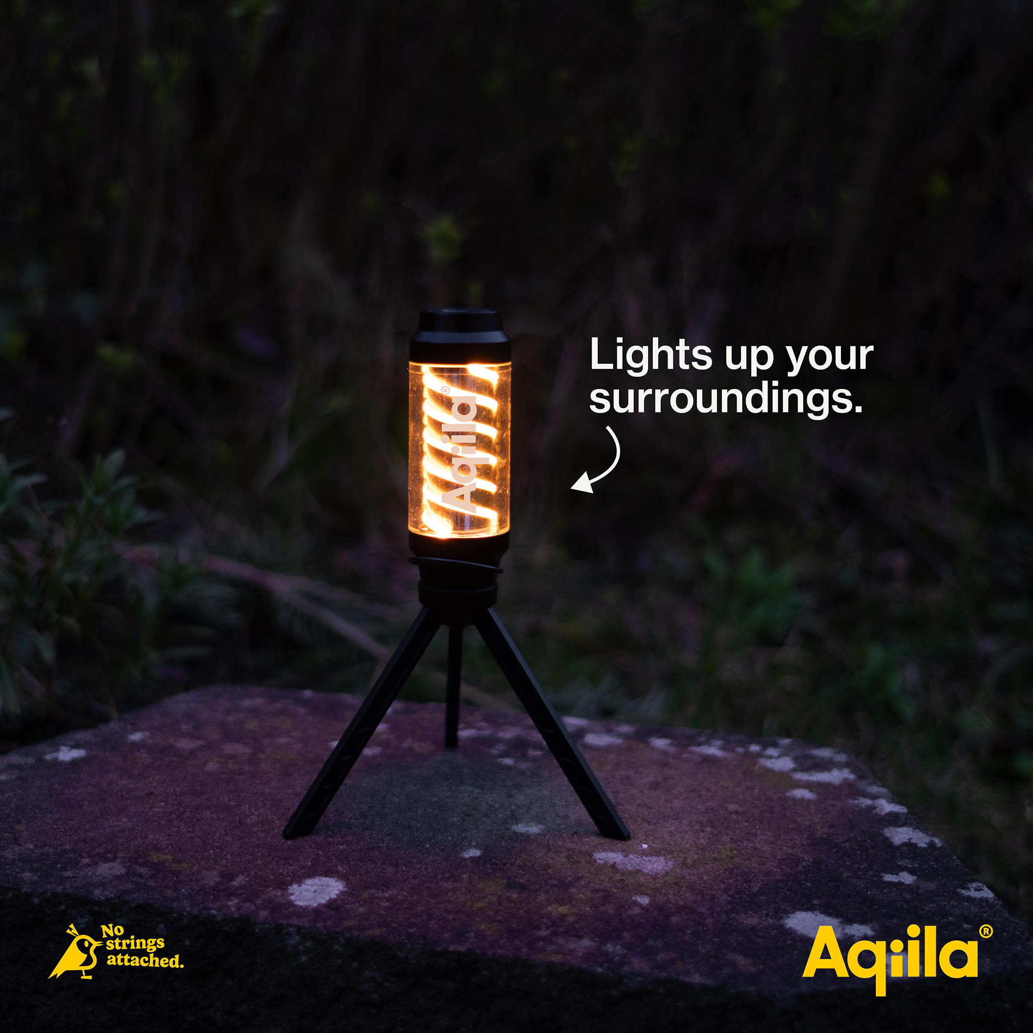 Aqiila Lightbird G1 Glowlight + Torch