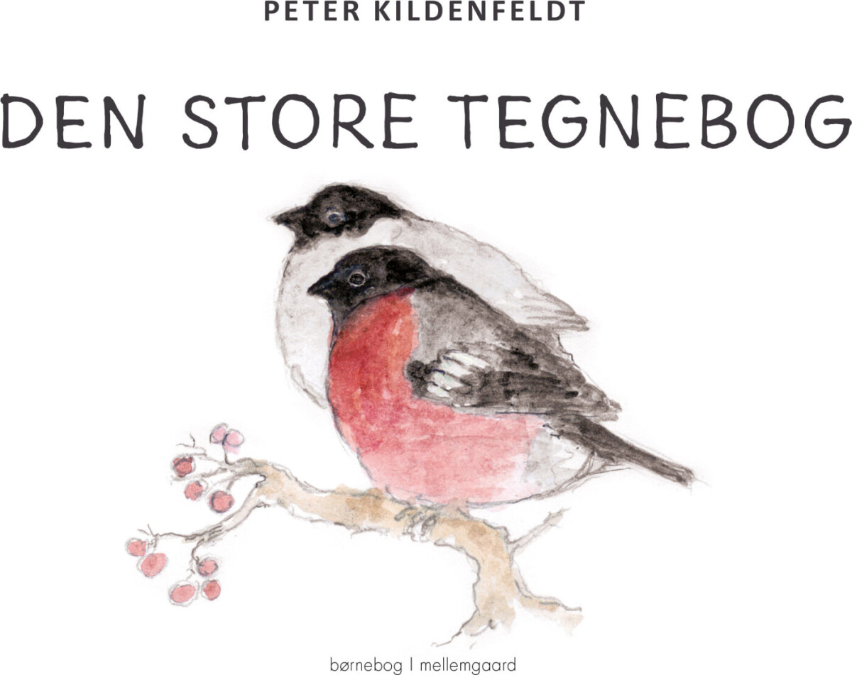 Den Store Tegnebog - Peter Kildenfeldt - Bog