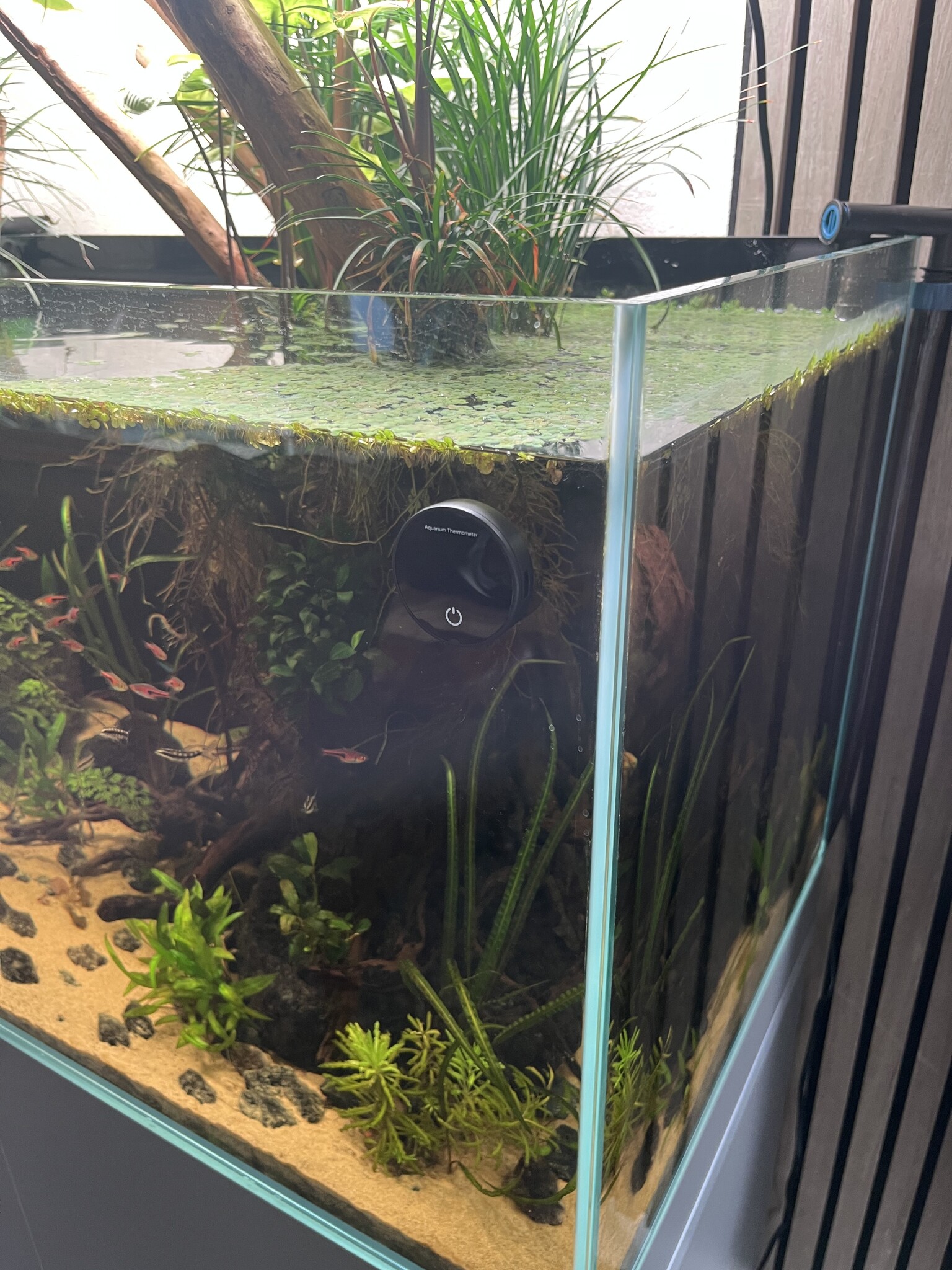 Aquarium Thermometer Oplaadbaar