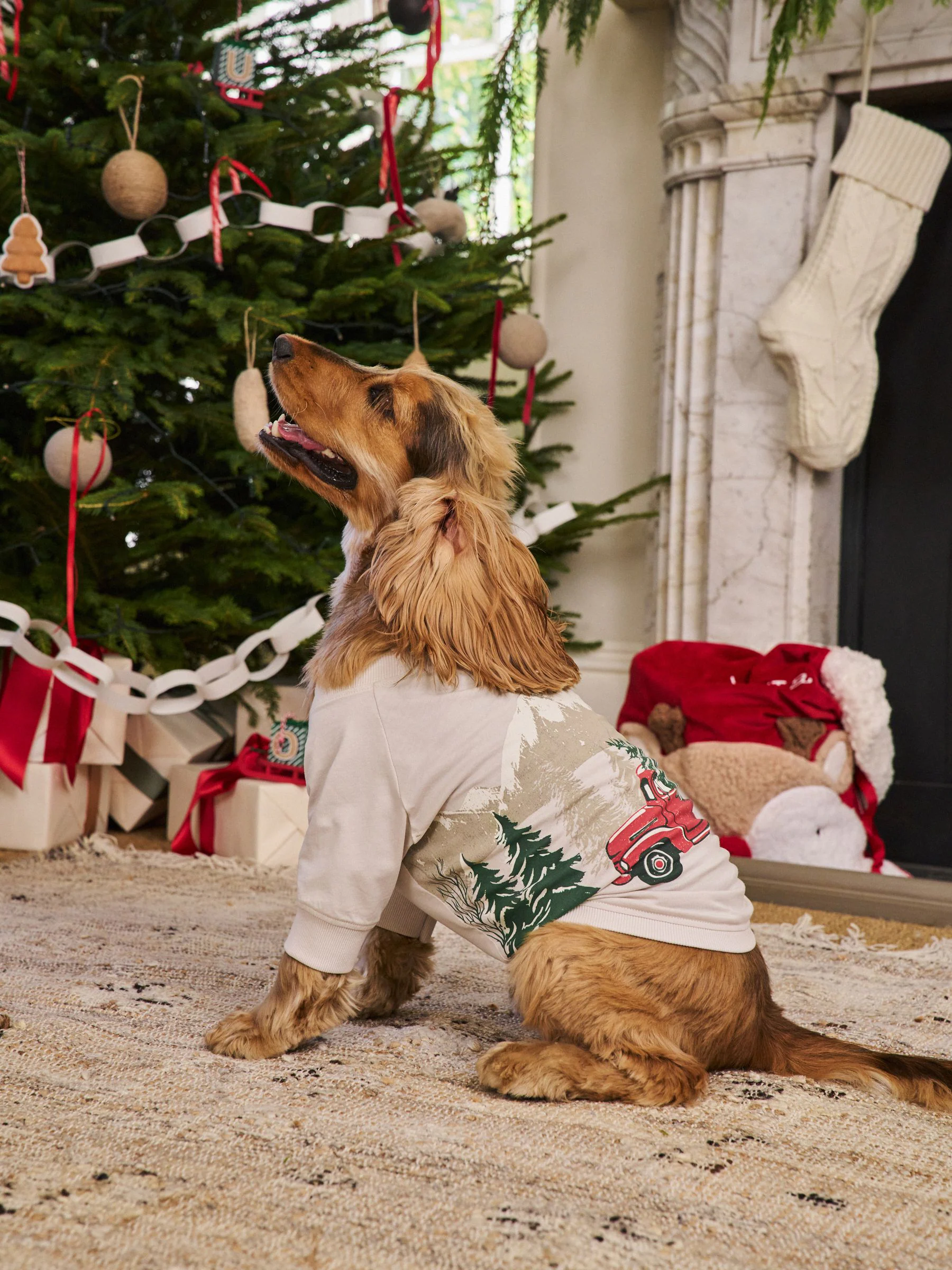 Matching Family kerst-T-shirt voor huisdieren