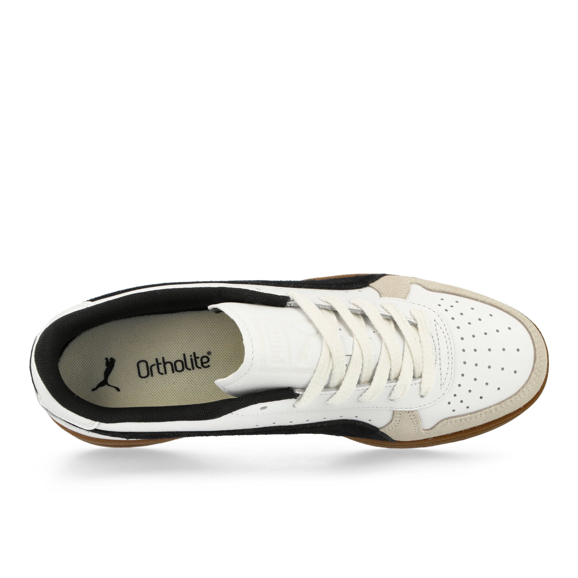 Puma<br>Indoor