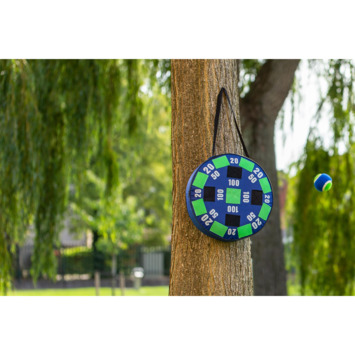 Outdoor Dart Game