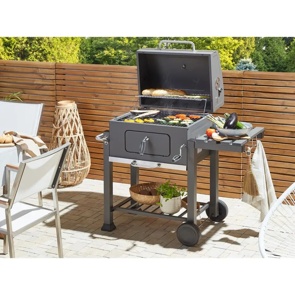 PAVLOF - Houtskoolgrill - Grijs - Staal