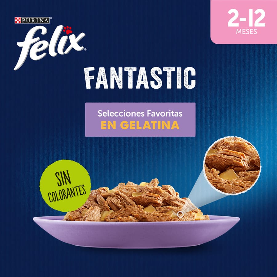 Felix Junior Sachês Fantásticos de Carne e Peixe em Gelatina - Pacote com Vários