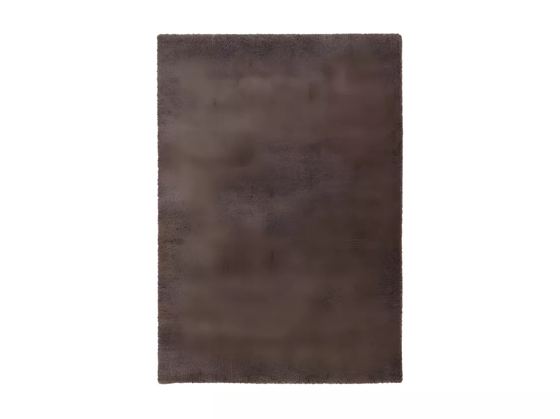 Tapis 170x120cm, design D005M coloris taupe - Confort et élégance pour votre intérieur