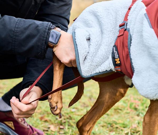 Non-stop dogwear Hunde-Fleecejacke Trekking