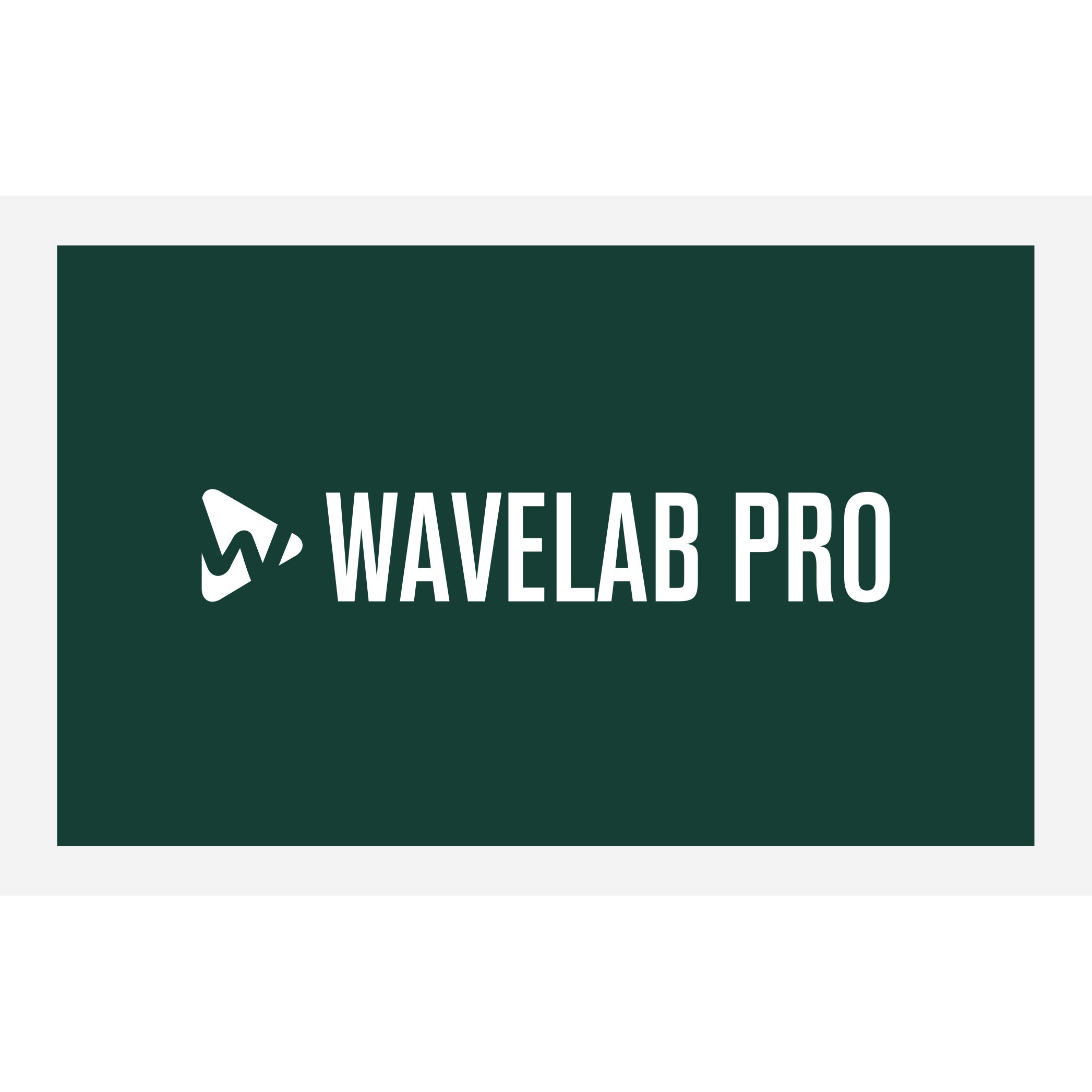 Steinberg Wavelab Pro 12 (download)